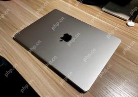 mac系统怎么查征信