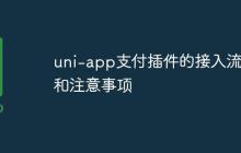 uni-app支付插件的接入流程和注意事项