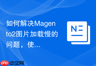 如何解决Magento2图片加载慢的问题，使用Composer和WebP模块让你的电商网站飞起来