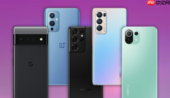 vivo y300 拍照亮度不足_vivo y300 相机优化方法