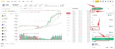 币安Alpha代币反向订单教学