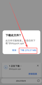 确认下载文件