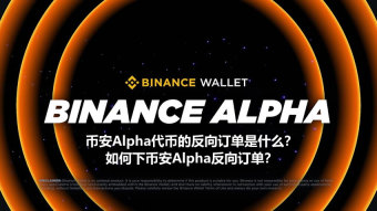 币安alpha反向订单详解