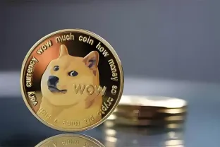 狗狗币最新动态：马斯克澄清关联后DOGE承压