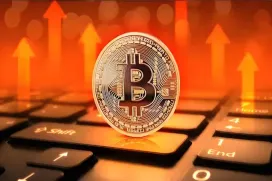 熊链之后,哪些热门公链生态项目值得关注?