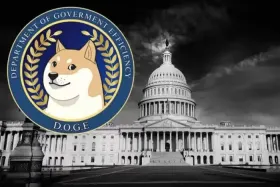 DOGE部门上线引发关注，狗狗币热度与波动再升温