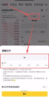 设置低杠杆倍数