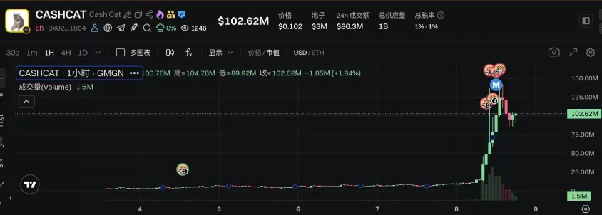 CEO下场“带节奏”,猫咪主题Meme币意外走红_图2