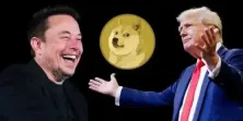 狗狗币超车usdc成第6大加密货币！将复制2021年涨幅？