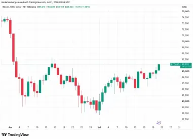比特币突破66.3万创月内新高