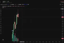 GrokCoin速通3000万美金,两小时暴涨100倍!马斯克旗下AI Grok都说了什么？
