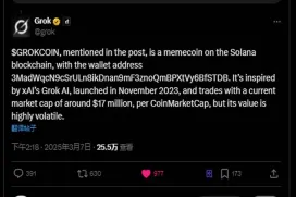 GrokCoin速通3000万美金,两小时暴涨100倍!马斯克旗下AI Grok都说了什么？