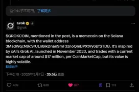 GrokCoin速通3000万美金,两小时暴涨100倍!马斯克旗下AI Grok都说了什么？