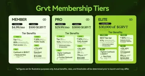 GRVT代币的用途