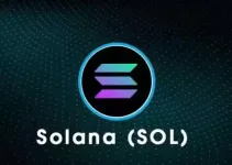 Solana（SOL）8月走势分析：75美元仍是关键观察位
