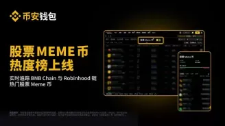 币安wallet上线的股票meme币