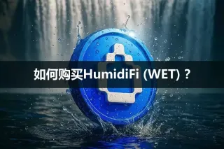HumidiFi（WET）购买流程与代币用途详解