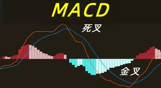 三大组成:MACD 线、信号线与柱状图