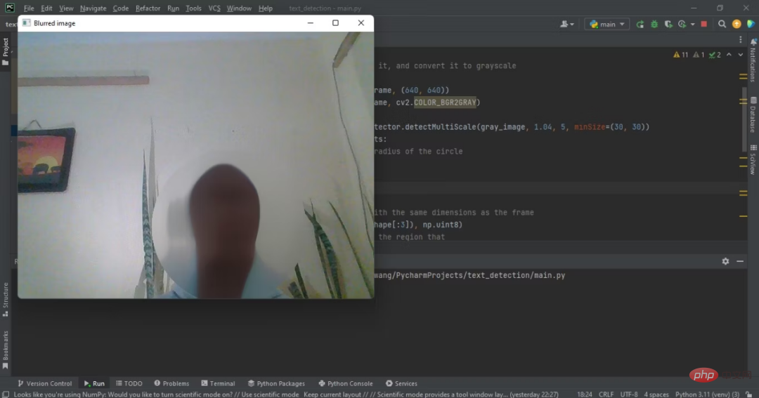 How to blur faces in real time using Python