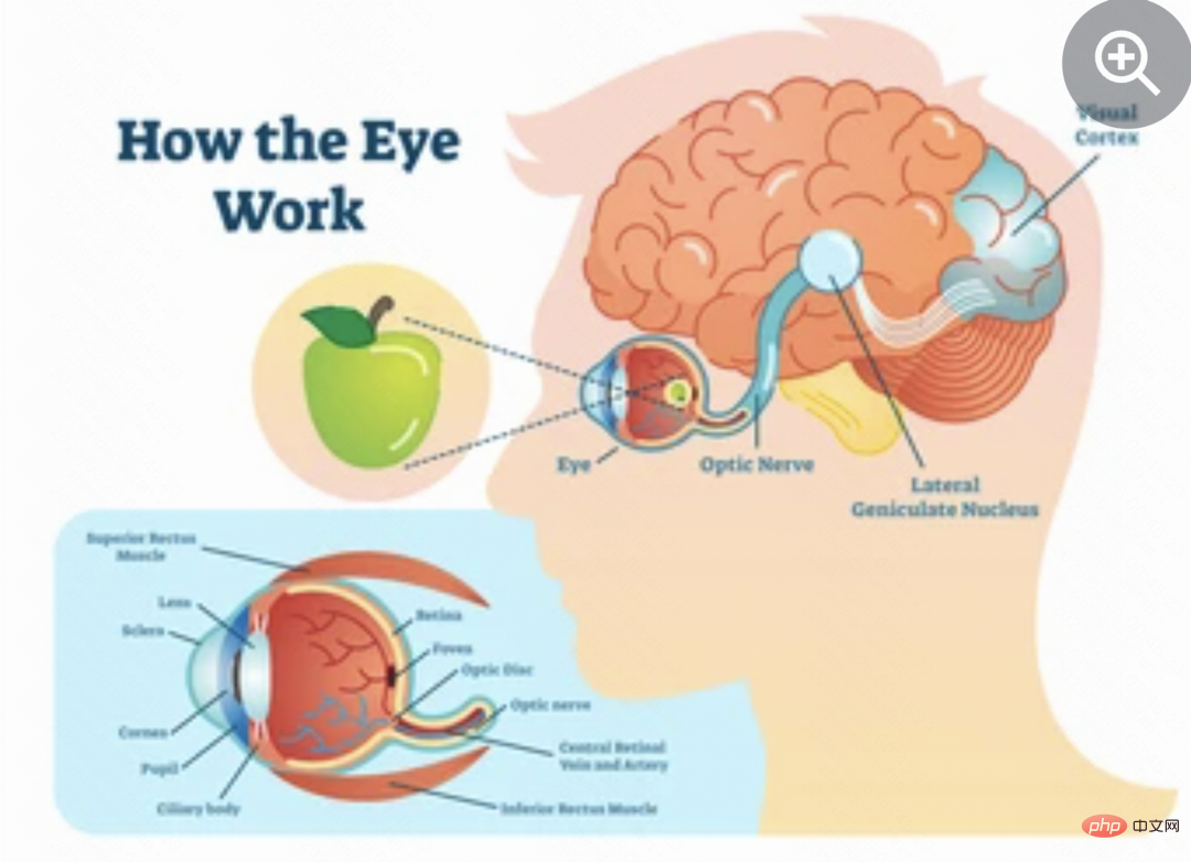 Computer Vision Image Classification