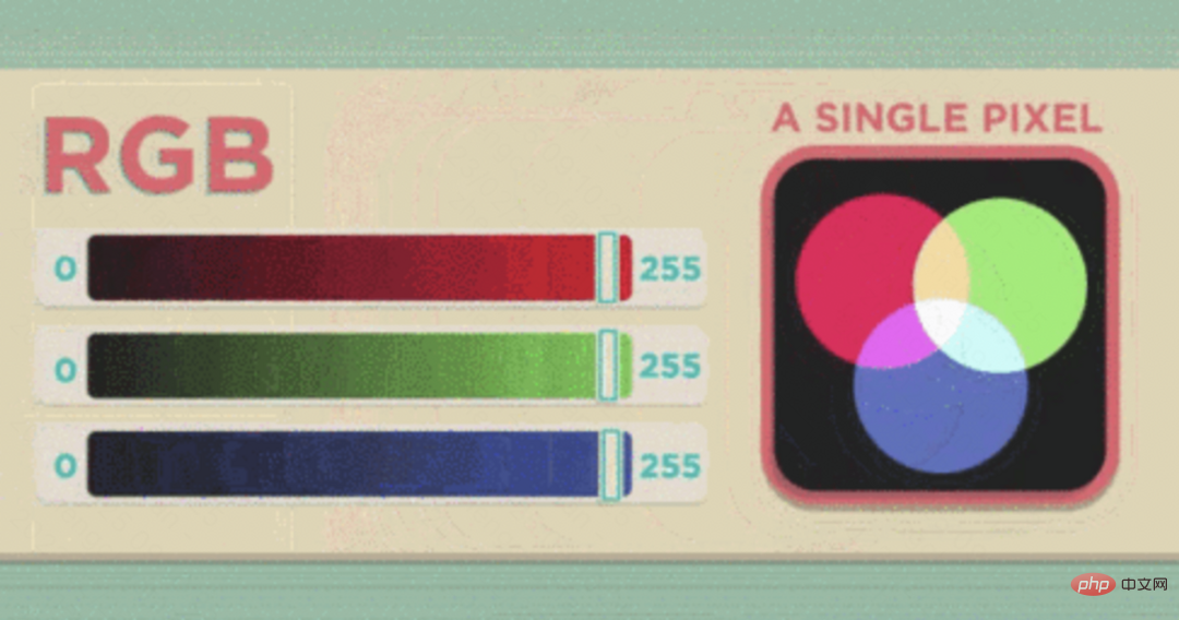 Computer Vision Image Classification