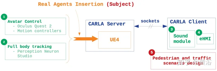 Adding real agent behavior to the CARLA autonomous driving simulator