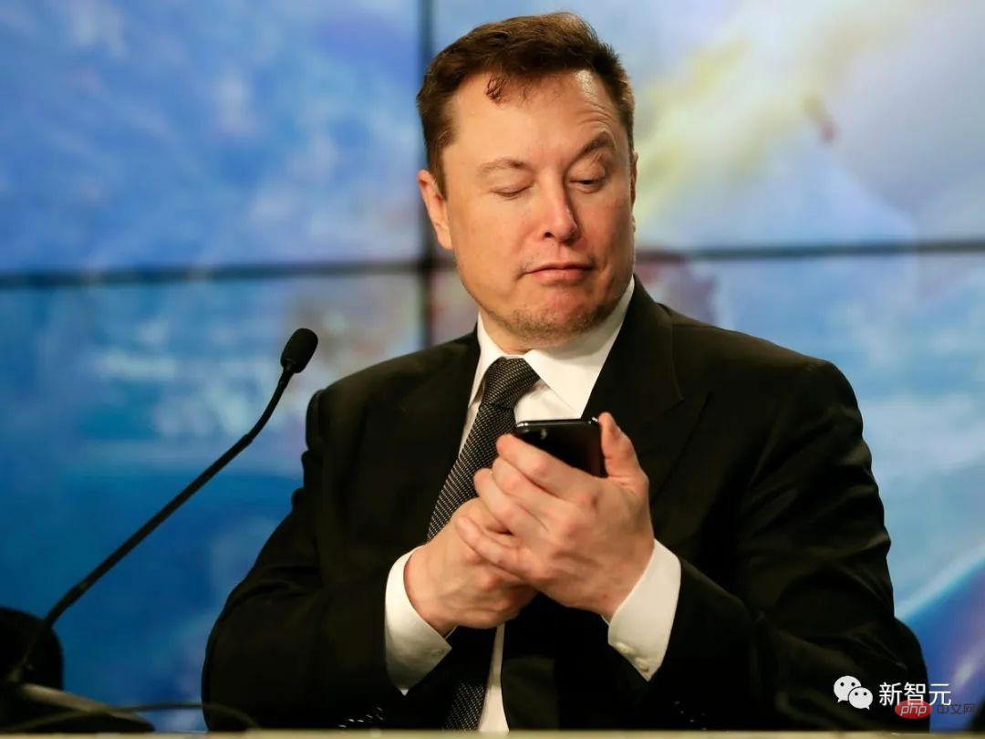 No money, let Love Saint ChatGPT teach you how to chase Musk!