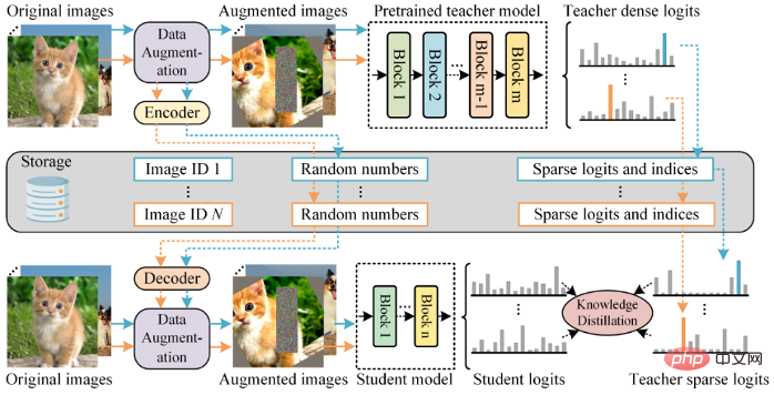 Comment effectuer une recherche d’images de manière efficace et précise ? Jetez un œil au modèle pré-entraîné à la vision légère