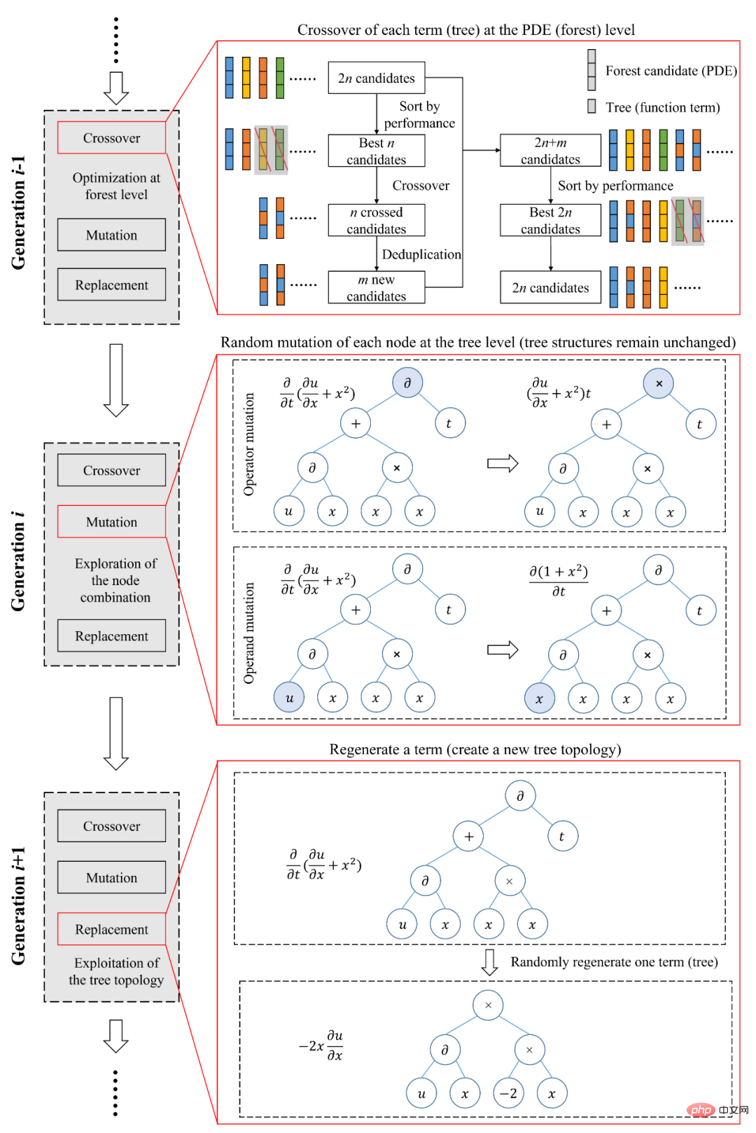 Is the equation a binary tree forest? Discover unknown governing equations and physical mechanisms directly from data