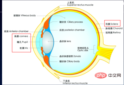 Unity大中华区平台技术总监杨栋：开启元宇宙的数字人之旅