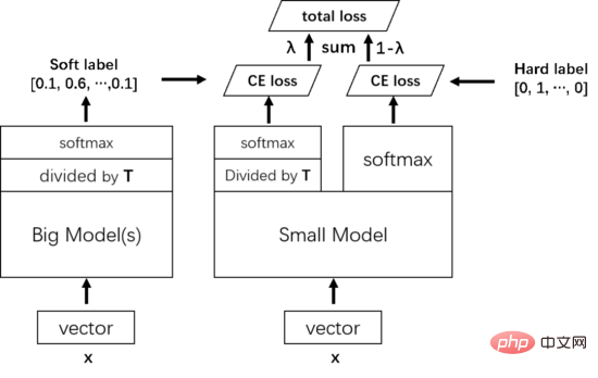 Große Modelle geben eine genaue Rückmeldung an kleine Modelle, und die Wissensdestillation trägt dazu bei, die Leistung des KI-Algorithmus zu verbessern.