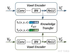 Transformer unifies voxel-based representations for 3D object detection