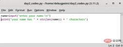 从 IDLE 中打开的一个 Python 文件