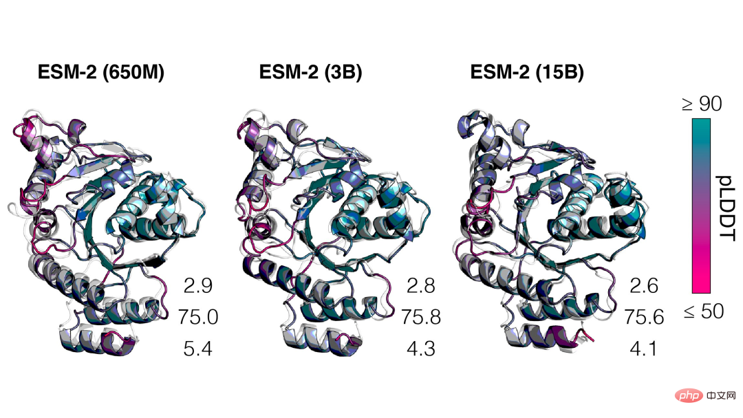 Schneller als 0! Meta hat ein großes Proteinmodell mit 15 Milliarden Parametern gestartet, um AlphaFold2 zu zerstören