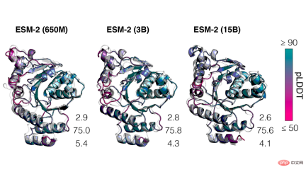 Faster than 0! Meta launched a large protein model with 15 billion parameters to crush AlphaFold2 Faster than 0! Meta launched a large protein model with 15 billion parameters to crush AlphaFold2