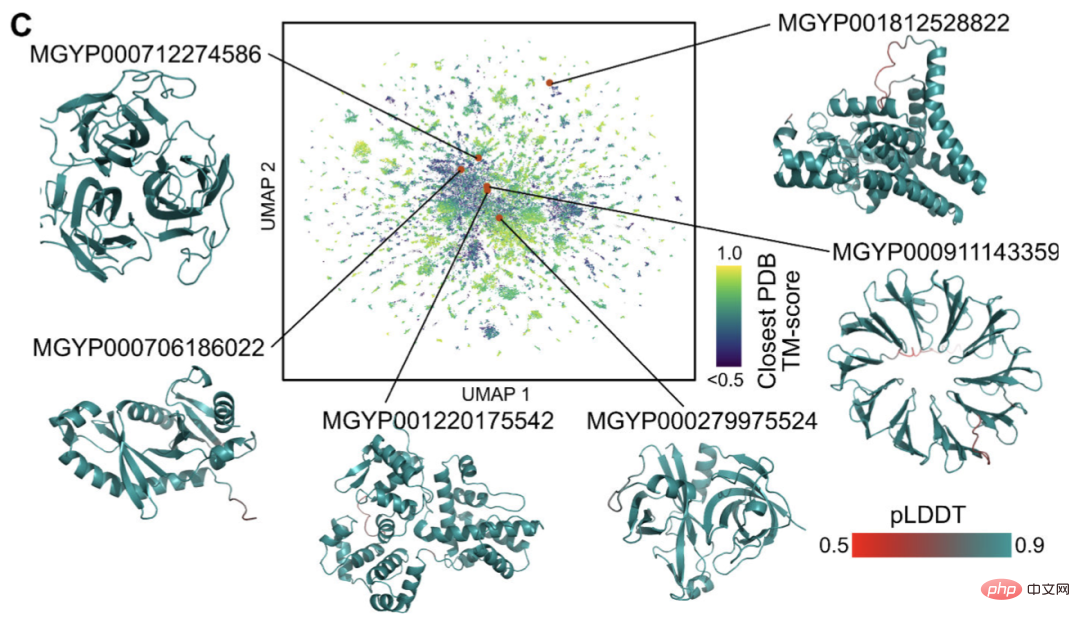 Schneller als 0! Meta hat ein großes Proteinmodell mit 15 Milliarden Parametern gestartet, um AlphaFold2 zu zerstören