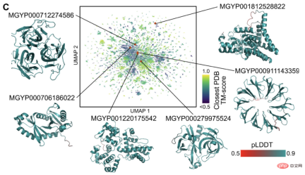 Faster than 0! Meta launched a large protein model with 15 billion parameters to crush AlphaFold2 Faster than 0! Meta launched a large protein model with 15 billion parameters to crush AlphaFold2