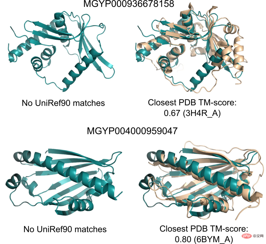 Schneller als 0! Meta hat ein großes Proteinmodell mit 15 Milliarden Parametern gestartet, um AlphaFold2 zu zerstören