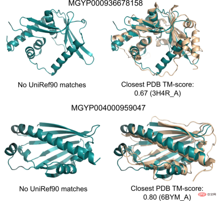 Faster than 0! Meta launched a large protein model with 15 billion parameters to crush AlphaFold2 Faster than 0! Meta launched a large protein model with 15 billion parameters to crush AlphaFold2