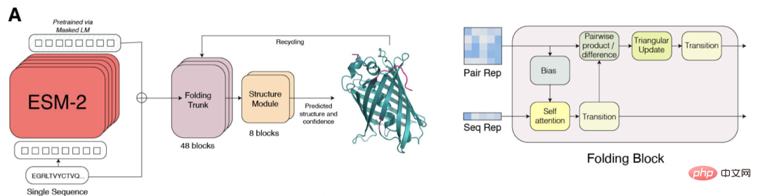 Schneller als 0! Meta hat ein großes Proteinmodell mit 15 Milliarden Parametern gestartet, um AlphaFold2 zu zerstören