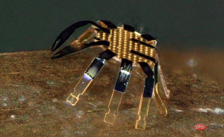 Peut marcher sur la tranche dune pièce de monnaie ! Le plus petit robot crabe terrestre est lancé et pourrait être utilisé à lavenir pour des chirurgies mini-invasives