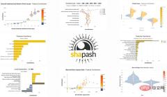 Another machine learning model interpretation artifact: Shapash