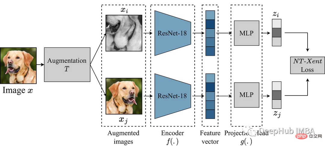 Verwendung von Pytorch zur Implementierung des kontrastiven Lernens von SimCLR für selbstüberwachtes Vortraining