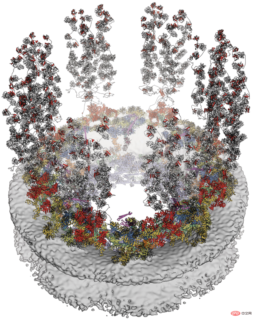 Shi Yigong et dautres équipes font la couverture de Science : lIA et la microscopie cryoélectronique révèlent la structure des PNJ au « niveau atomique », une percée dans les sciences de la vie