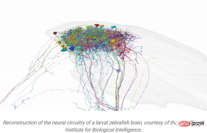 Explore the origins of nature! The seventh bullet of Google’s 2022 year-end summary: How can “Biochemical Environmental Materials” reap the dividends of machine learning?