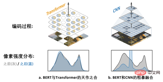 Can BERT also be used on CNN? ByteDance's research results selected for ICLR 2023 Spotlight