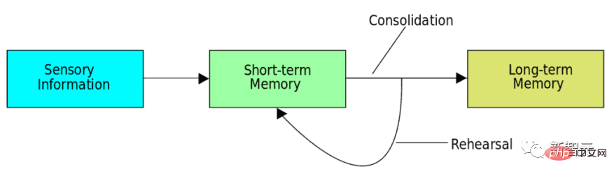 Does AI also have amnesia? Exclusive interview with a 41-year-old British professor: Solving catastrophic forgetting