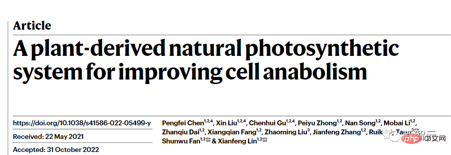 Blockbuster-Forschung der Universität Zhejiang in „Nature“ veröffentlicht: Menschen können auch „Photosynthese“ durchführen, um alternde Zellen zu verjüngen