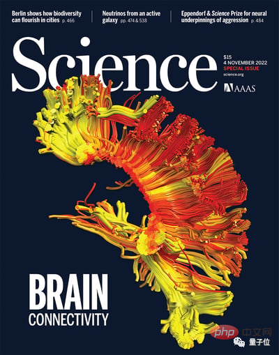 脳の分割は機能の鍵ではありません。科学表紙4号連続掲載：知恵は脳領域のつながりから生まれる