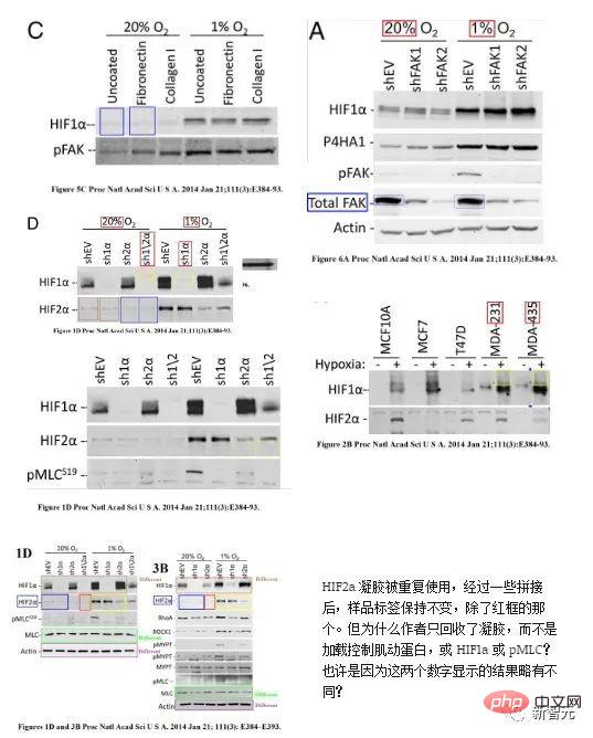 专治「专治「专治「专治「专治「专治「专治「图片误用」！Elsevier、Nature等顶刊用AI揪出作弊科学家误用」！Elsevier、Nature等顶刊用AI揪出作弊科学家误用」！Elsevier、Nature等顶刊用AI揪出作弊科学家误用」！Elsevier、Nature等顶刊用AI揪出作弊科学家误用」！Elsevier、Nature等顶刊用AI揪出作弊科学家误用」！Elsevier、Nature等顶刊用AI揪出作弊科学家误用」！Elsevier、Nature等顶刊用AI揪出作弊科学家